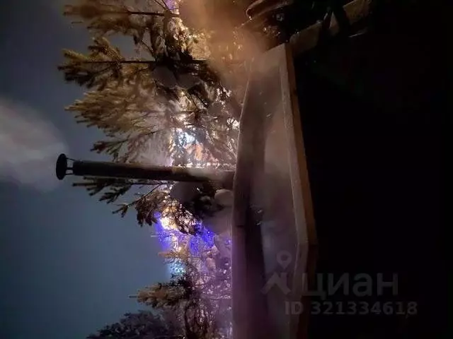 Дом в Бурятия, Баргузинский район, Усть-Баргузин пгт, Лопатки ... - Фото 2