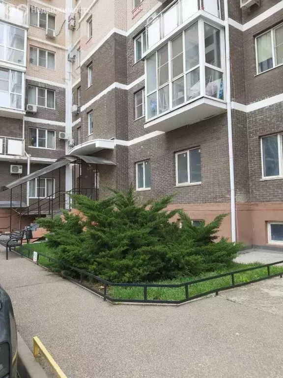 Квартира-студия: Краснодар, Центральный внутригородской округ, ... - Фото 1
