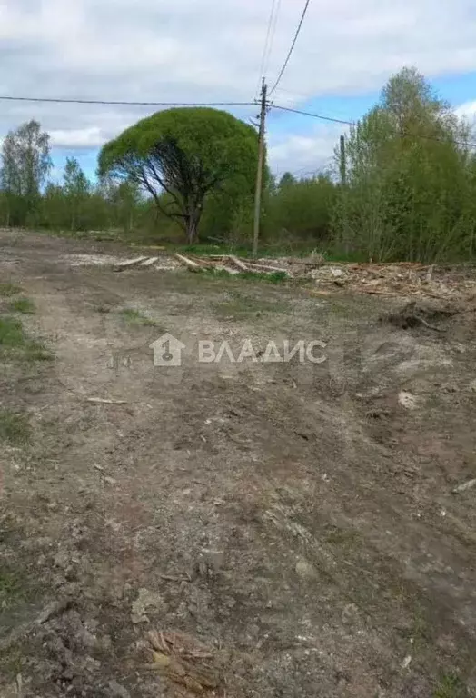 Участок 30 сот. (ИЖС) - Фото 1