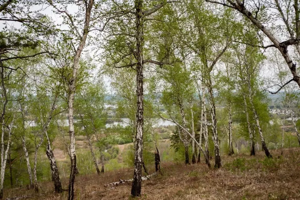 Дом в Иркутская область, Иркутский муниципальный округ, Верхняя ... - Фото 2