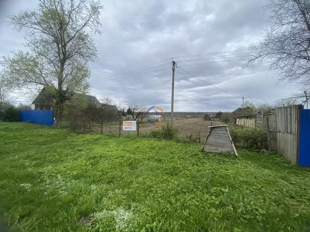 Участок в Новгородская область, Новгородский район, Трубичинское ... - Фото 1