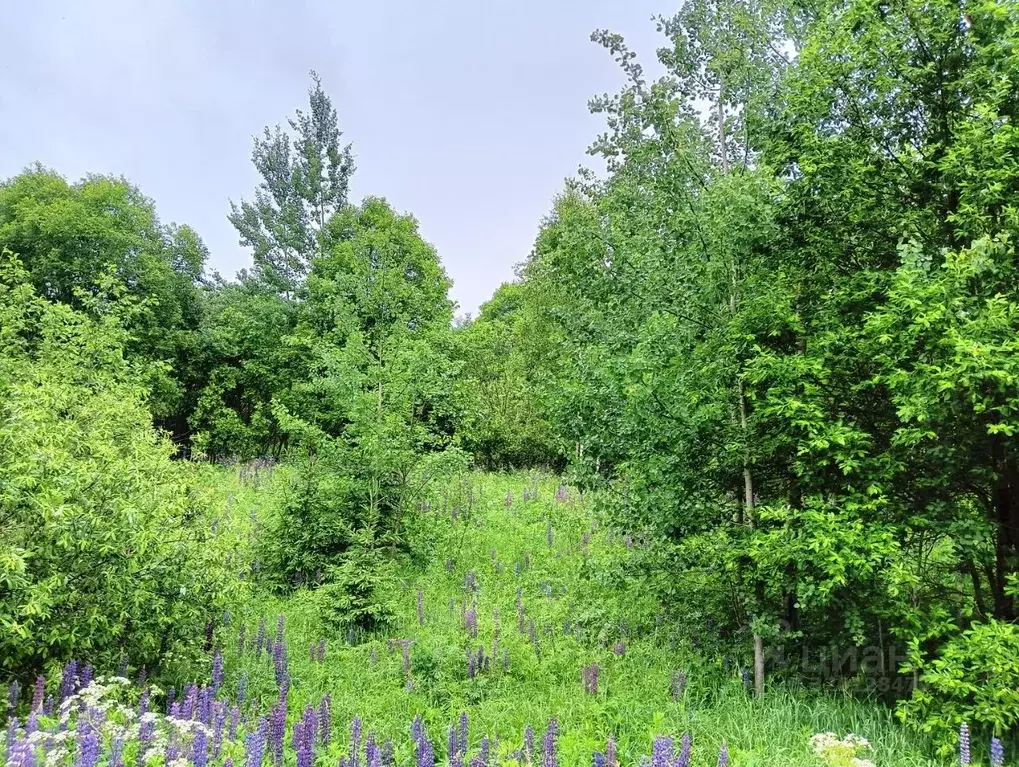 Участок в Московская область, Клин городской округ, д. Ногово  (18.4 ... - Фото 0