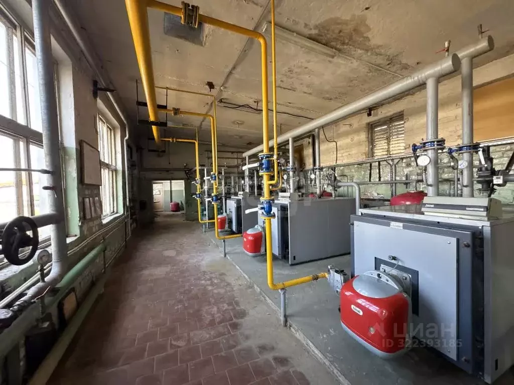 Склад в Брянская область, Брянск ул. Абашева, 19 (12000 м) - Фото 1