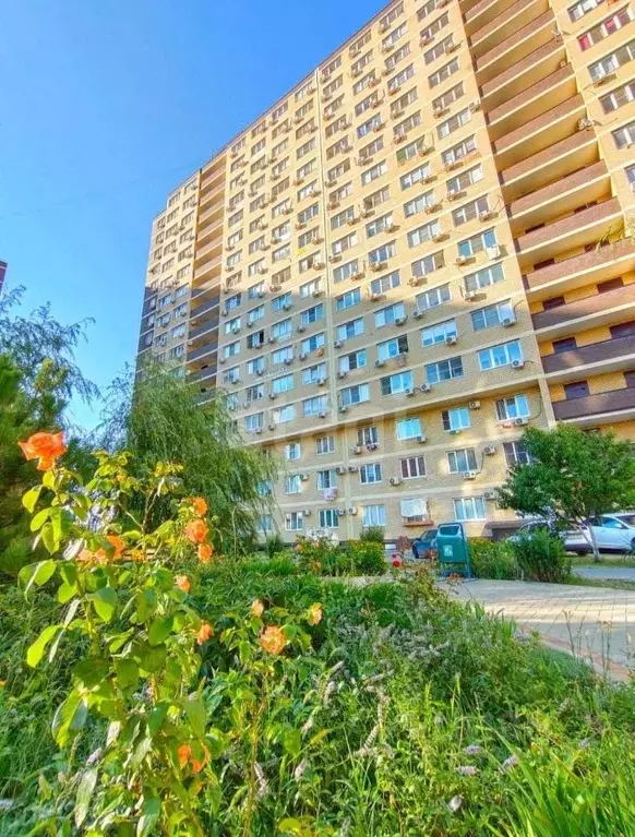 Помещение свободного назначения в Краснодарский край, Анапа ... - Фото 1