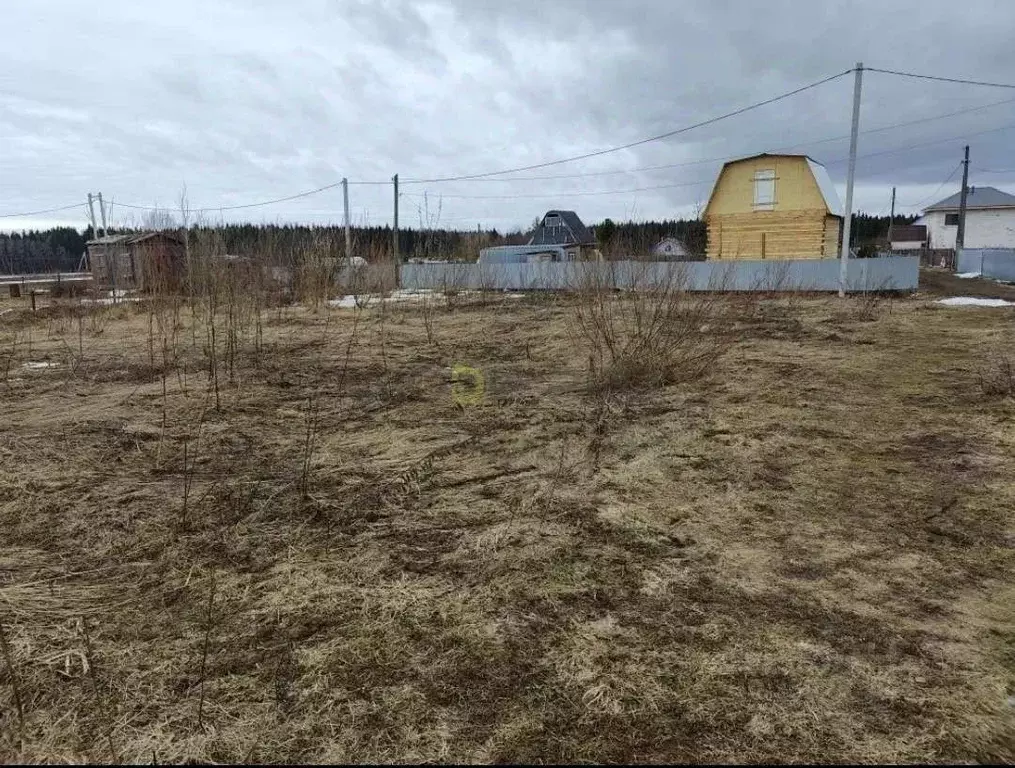Участок в Кировская область, Киров городской округ, д. Рожни  (6.3 ... - Фото 2