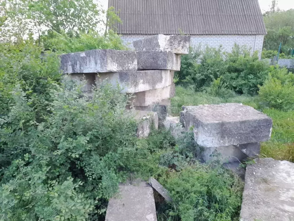 Участок 12,4 сот. (ИЖС) - Фото 1