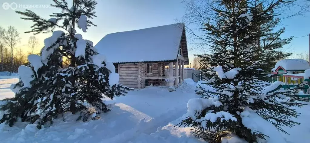 Дом в Ярославский муниципальный округ, СНТ Мечта (60 м) - Фото 2