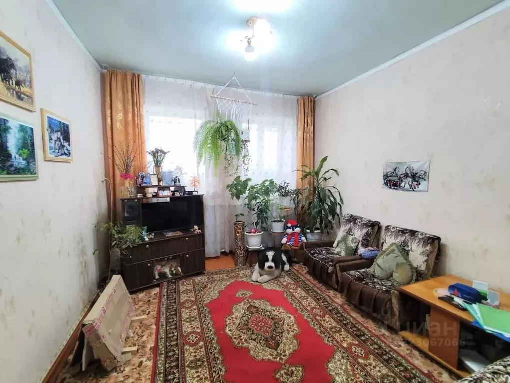 3-к кв. Курганская область, Варгаши рп ул. Кирова, 95 (53.4 м) - Фото 1