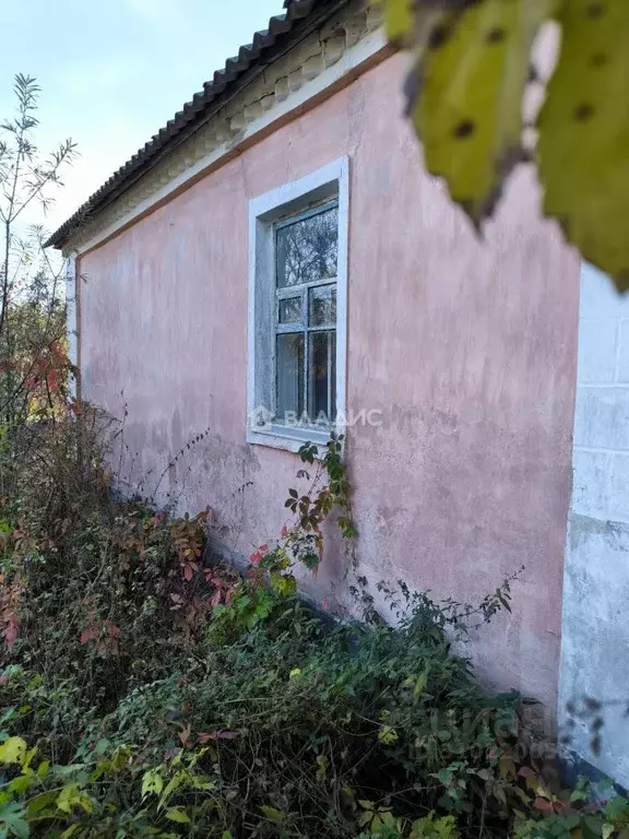 Дом в Воронежская область, Нижнетуровское с/пос, с. Нижнее Турово ... - Фото 1