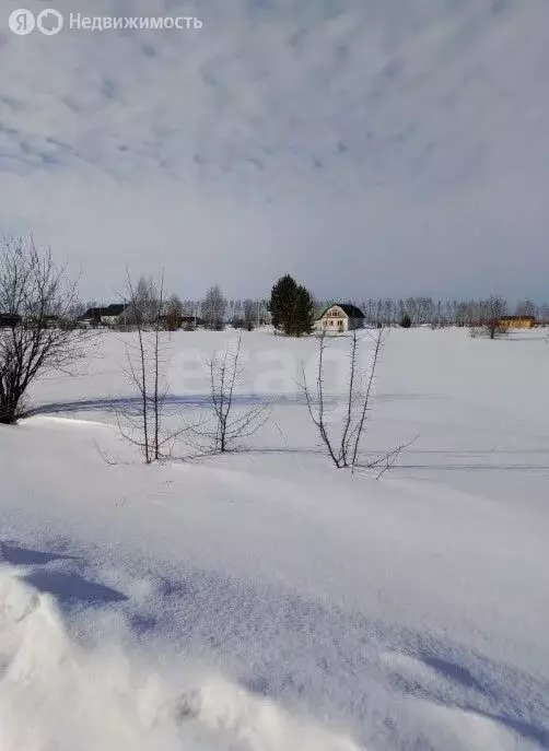 Участок в Майминский район, село Подгорное (6 м) - Фото 2