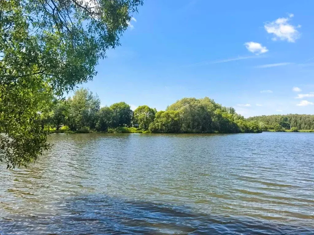 Участок в Московская область, Домодедово Мичуринец СНТ, 1-я линия (5.2 ... - Фото 2