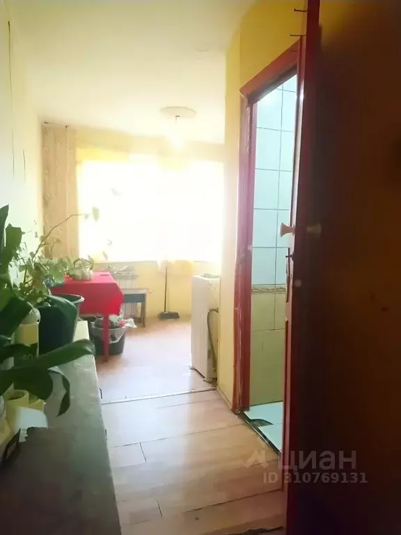 Комната Ленинградская область, Ломоносовский район, Аннинское ... - Фото 1