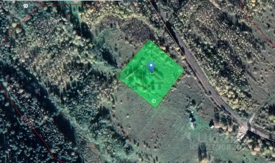 Участок в Новгородская область, Маловишерский район, Веребьинское ... - Фото 1