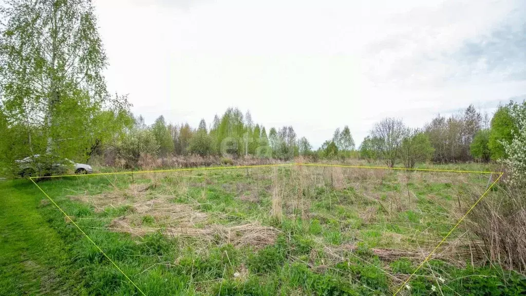 Участок в Томская область, Томск пос. Светлый, Калинка садовое ... - Фото 0