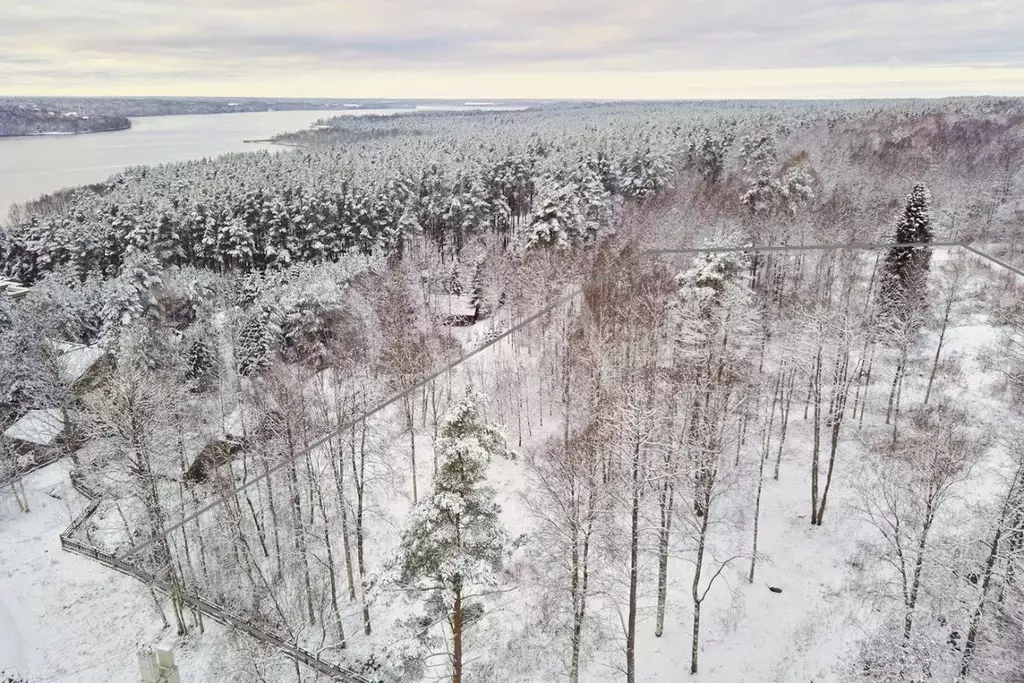 Участок в Ленинградская область, Приозерский район, Красноозерное ... - Фото 2