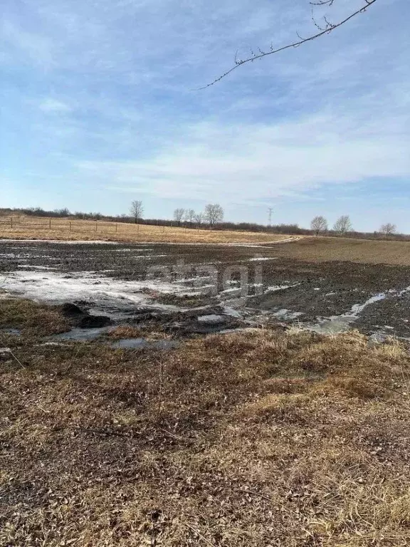 Участок в Амурская область, Благовещенский район, с. Усть-Ивановка  ... - Фото 2