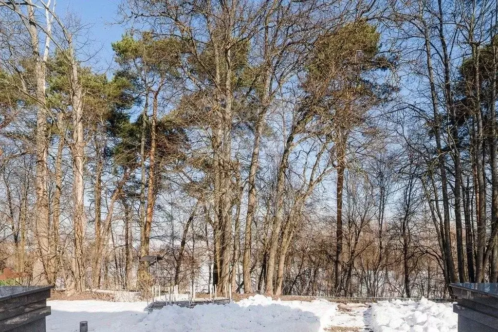 Участок в Московская область, Одинцовский городской округ, Речной кп ... - Фото 2