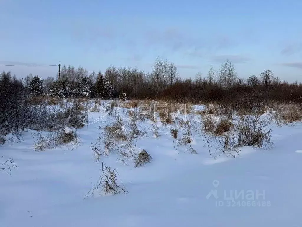 Участок в Тюменская область, Тюменский муниципальный округ, ... - Фото 2