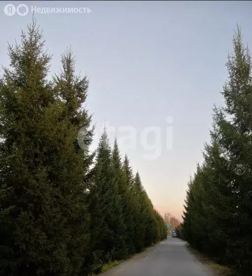 Участок в Кубовинский сельсовет, СНТ Электрон (8.4 м) - Фото 1