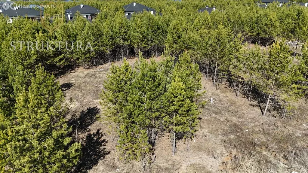 Участок в Свердловская область, Белоярский муниципальный округ, ... - Фото 1