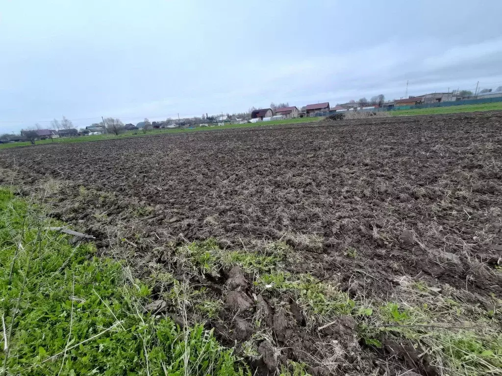 Участок в Ленинградская область, Волосовский район, Рабитицкое с/пос, ... - Фото 1