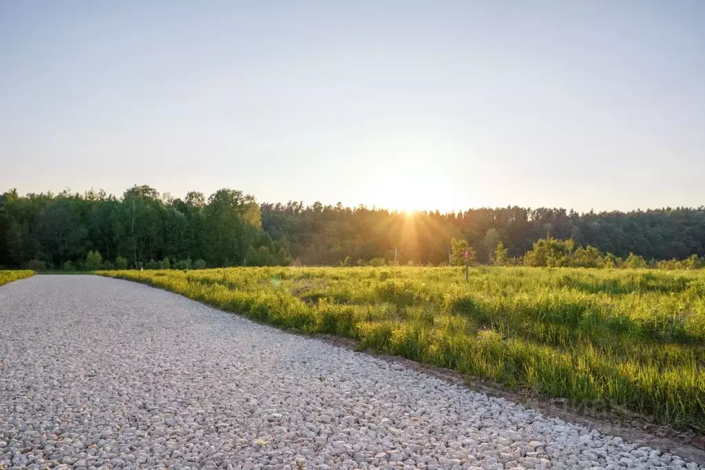 Участок в Московская область, Ступино городской округ, д. Лапино  (9.0 ... - Фото 1
