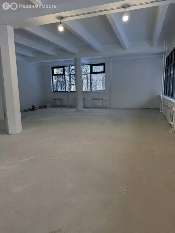 Помещение свободного назначения (216 м) - Фото 2