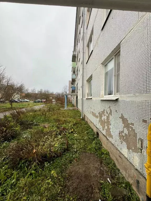 2-к кв. Псковская область, Дно ул. Строителей, 21 (36.0 м) - Фото 2