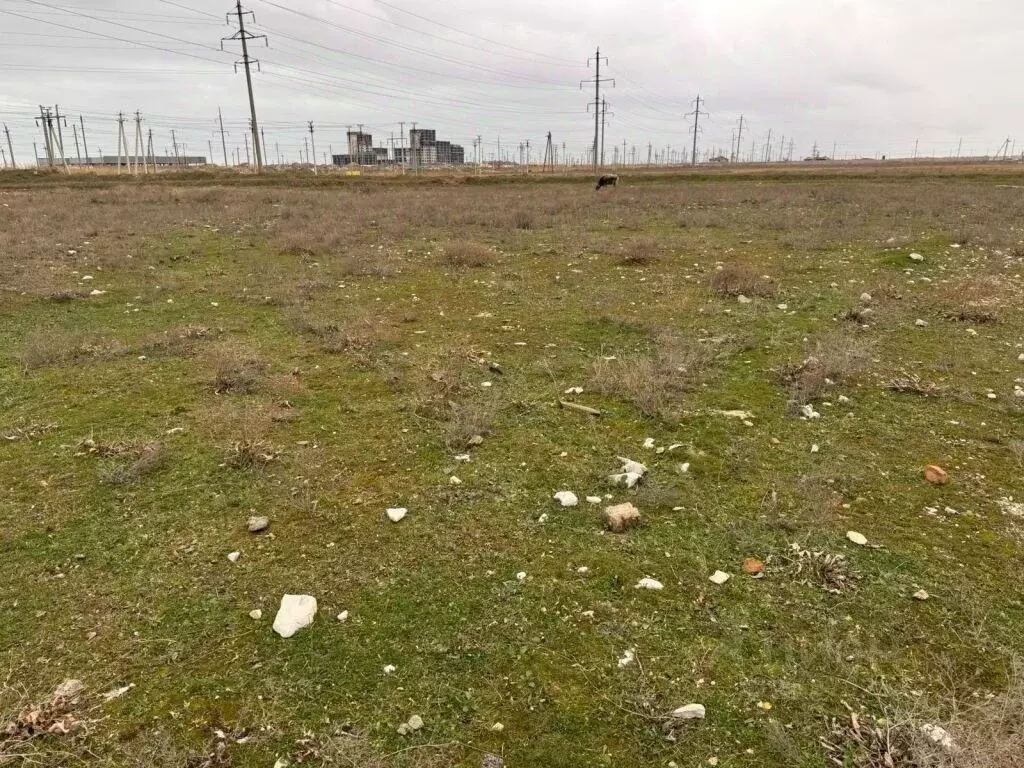 Участок в Дагестан, Махачкала городской округ, с. Новый Хушет  (4.0 ... - Фото 0