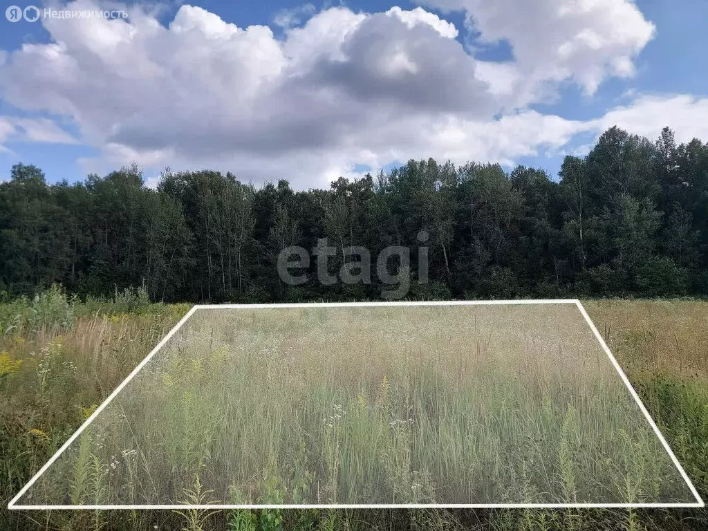 Участок в Тульская область, городской округ Тула, деревня Струково ... - Фото 2