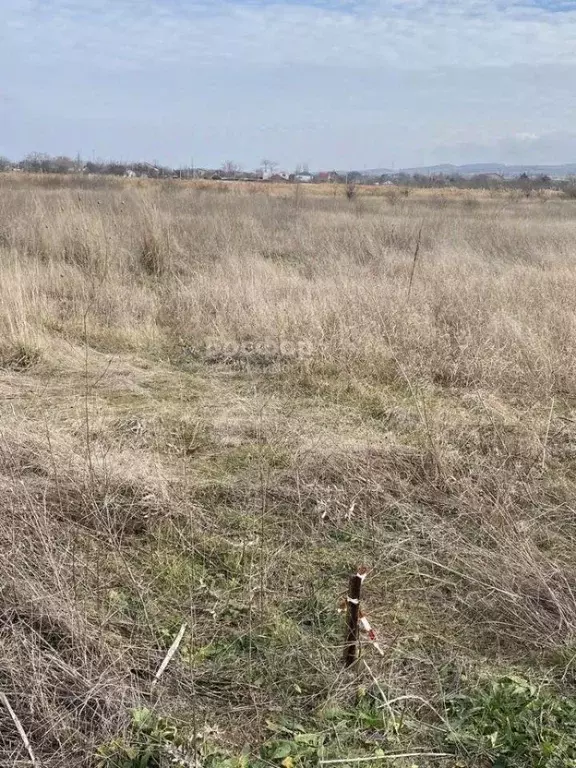 Участок в Крым, Феодосия муниципальный округ, с. Насыпное  (6.6 сот.) - Фото 2