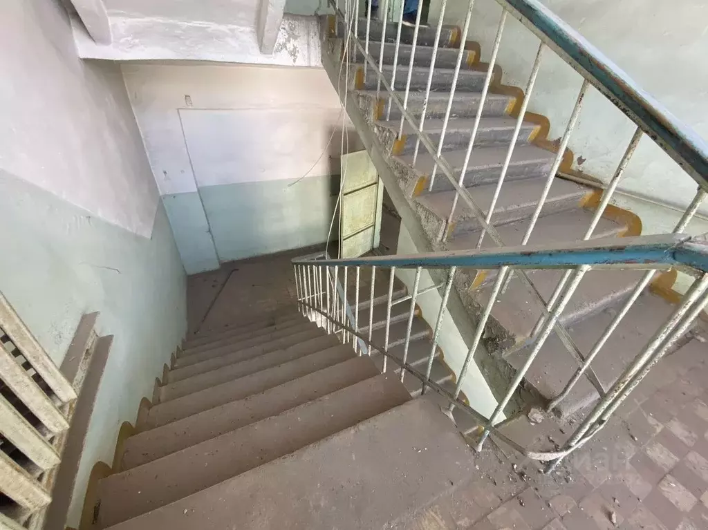 Помещение свободного назначения в Новосибирская область, Новосибирск ... - Фото 2