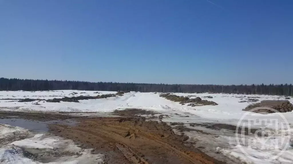 Участок в Ленинградская область, Всеволожский район, Агалатовское ... - Фото 2