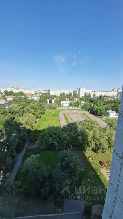 1-к кв. Омская область, Омск Учебная ул., 157 (31.9 м) - Фото 2