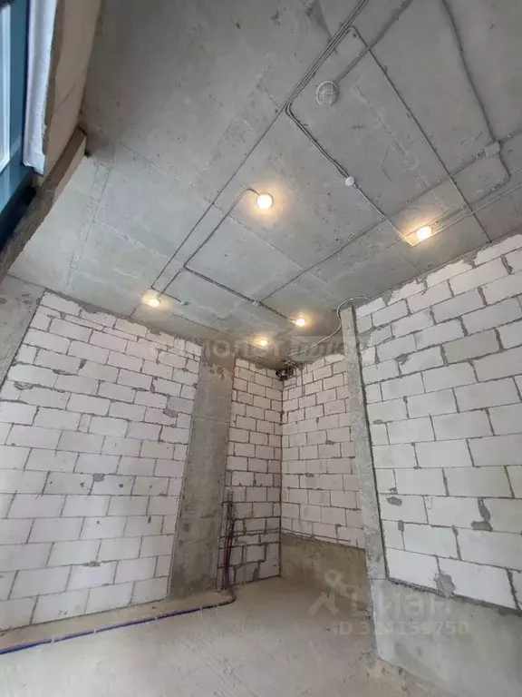 Помещение свободного назначения в Москва бул. Скандинавский, 14 (35 м) - Фото 2