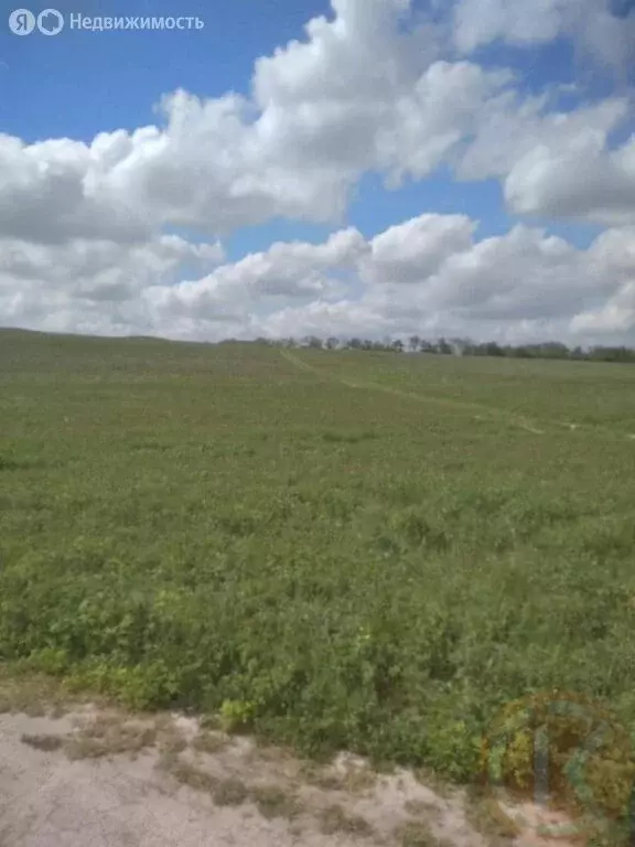 Участок в Симферопольский район, село Чистенькое (5.6 м) - Фото 0