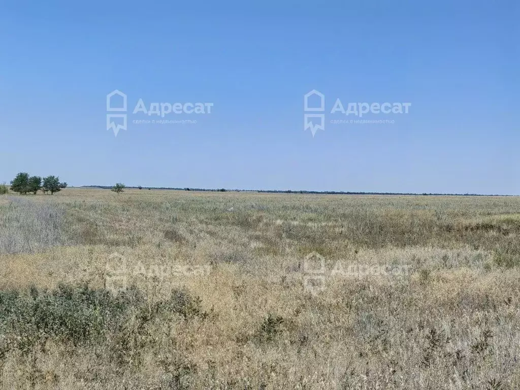 Участок в Волгоградская область, Волгоград ул. Венгерская (6.42 сот.) - Фото 1