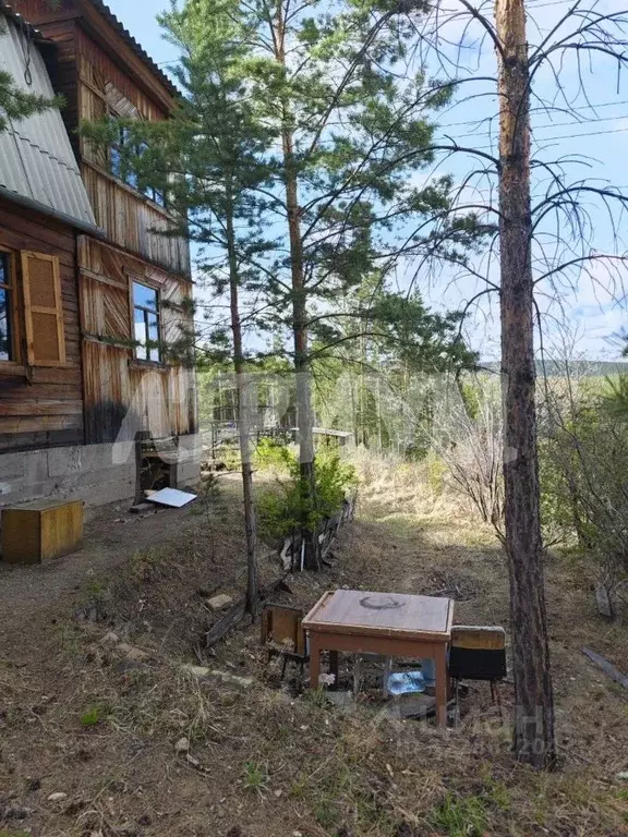 Участок в Бурятия, Улан-Удэ пос. Верхняя Березовка,  (8.0 сот.) - Фото 1