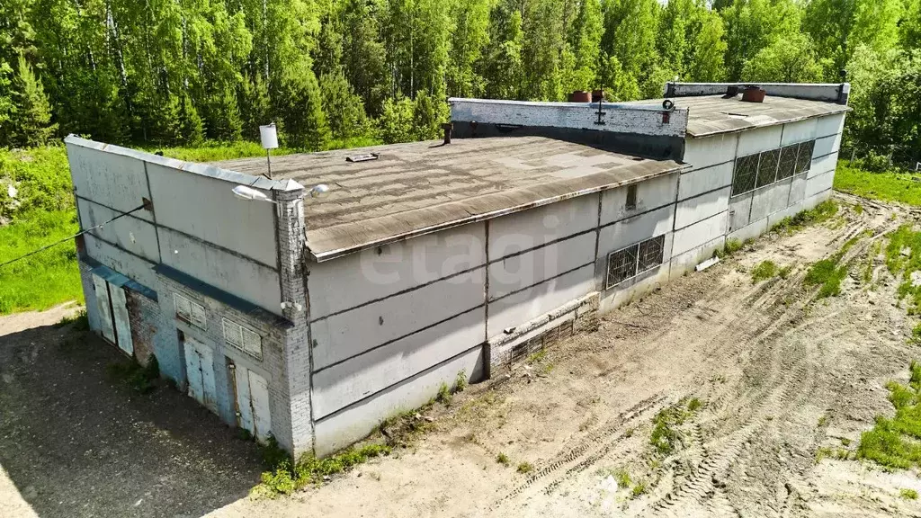 Склад в Томская область, Томск Кузовлевский тракт, 8/3 (8623 м) - Фото 1