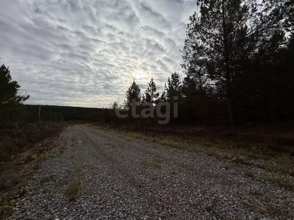 Участок в Свердловская область, Талица ул. Луначарского (11.0 сот.) - Фото 1