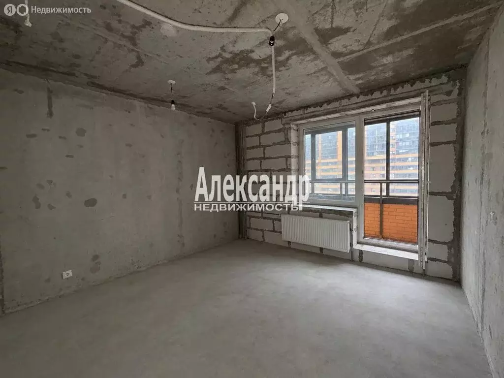 Квартира-студия: Санкт-Петербург, Дворцовая набережная, 38 (20.2 м) - Фото 2