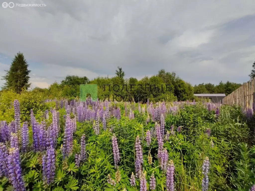 Участок в Завьяловский район, ДНТ Соловушки (10 м) - Фото 1