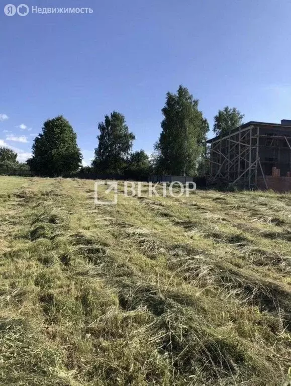 Участок в Ивановский район, Беляницкое сельское поселение, деревня ... - Фото 0
