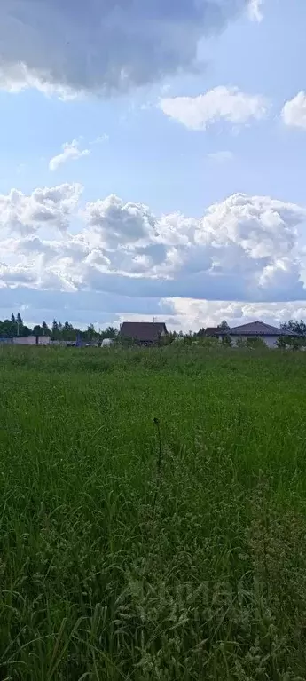 Участок в Новгородская область, Новгородский район, Ракомское с/пос  ... - Фото 1