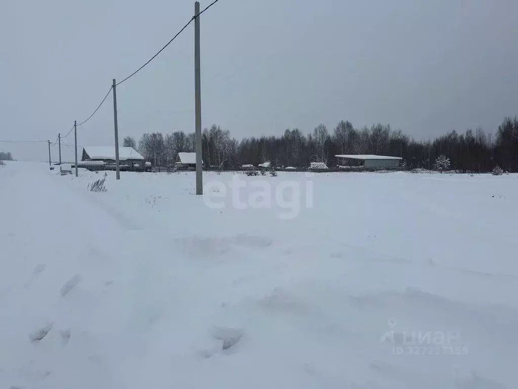 Участок в Свердловская область, Кушва пос. Степановка,  (20.0 сот.) - Фото 2
