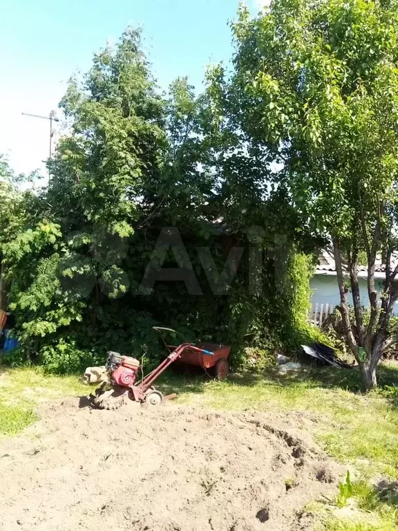 Участок 4,6 сот. (СНТ, ДНП) - Фото 1