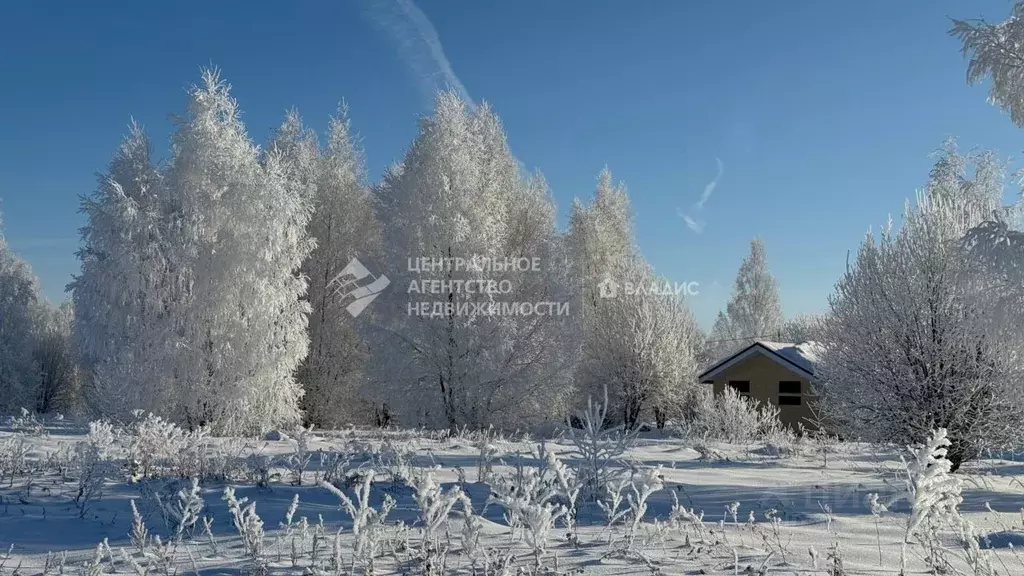 Участок в Рязанская область, Рязанский район, Вышгородское с/пос, с. ... - Фото 1
