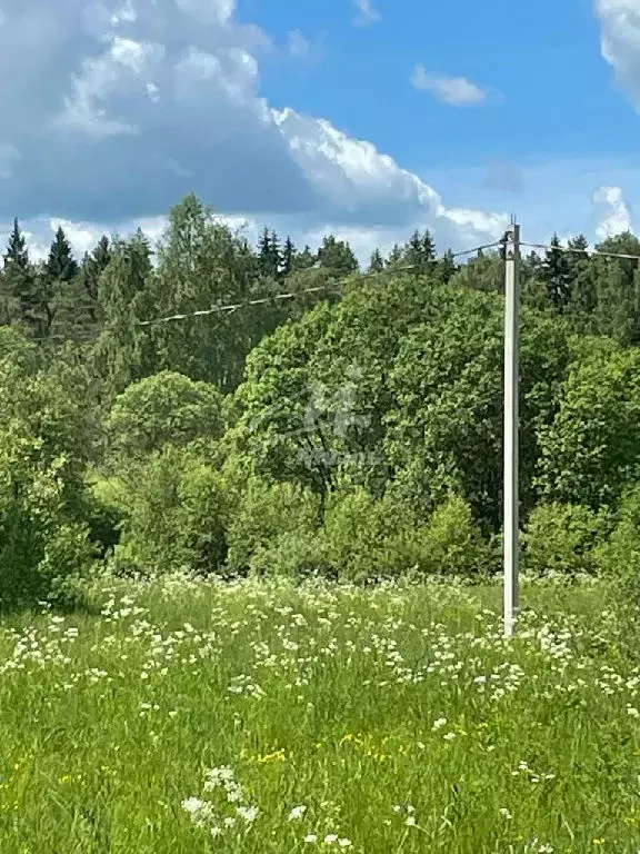 Продается участок в д. Старо - Фото 1