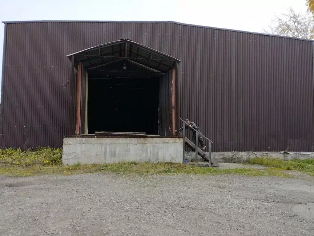 Склад в Свердловская область, Нижний Тагил Балакинская ул., 64А (502 ... - Фото 2