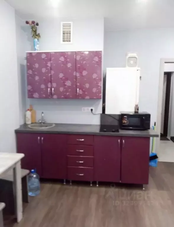 Студия Псковская область, Псковский район, Завеличенская волость, д. ... - Фото 2